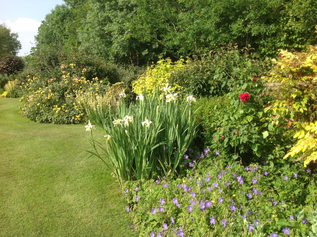 Sleepy Hollow Cottages Somerton  Eksteriør bilde